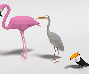Low Poly Cartoon Exotic Birds Pack