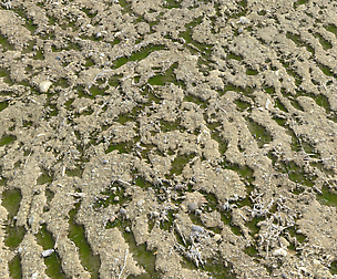 Arid dirty ground PBR Pack 1 Texture