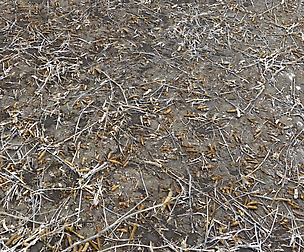 Dirty wet ground PBR Pack 1 Texture