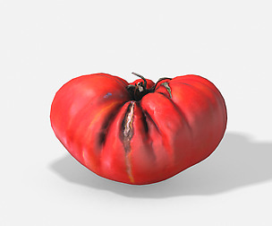 Vegetable Tomato - Photoscanned PBR