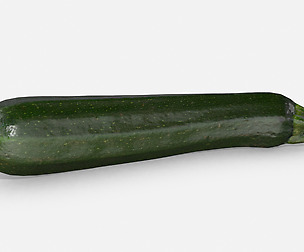 Vegetable Zucchini - Photoscanned PBR