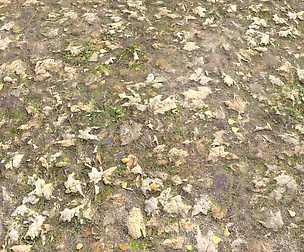 Leaf Terrain PBR Pack 1 Texture