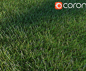 lawn