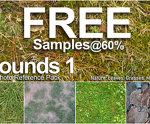 Ground Texture Reference 1 - Nature (Free Sample)