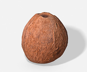 Exotic Fruit Coconut - Photoscanned PBR 3D Model