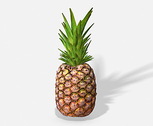 Exotic Fruit Pineapple - Photoscanned PBR