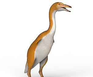 Monster Bird