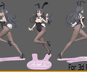 Bunny Girl