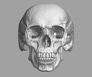 Skull ring with jaw
