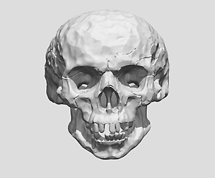 Hammered skull ring