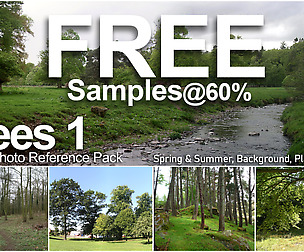 Tree Reference 1 (Free Samples)