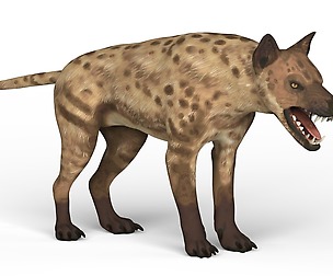 Monster Dog