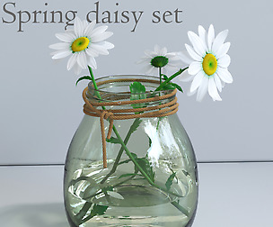 Spring daisy set