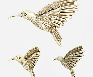 Hummingbird