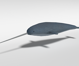 Low Poly Cartoon Narwhal