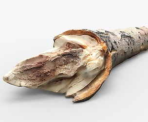 Driftwood Low-poly 3D model