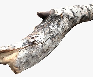 Driftwood 2 3D model