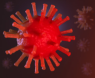 Coronavirus COVID-19