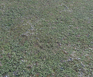 Ground terrain forest tundra PBR pack 4 textures