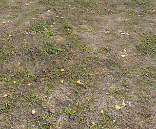 Ground terrain forest tundra PBR pack 5 textures