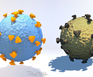 CoronaVirus Medical Model