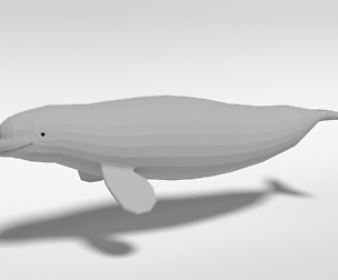 Low Poly Cartoon Beluga Whale