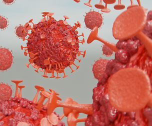 Corona Virus 3D model 3D model
