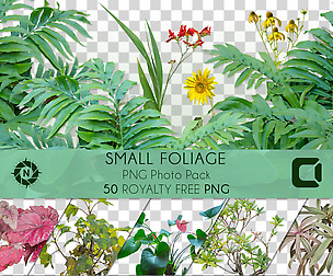 Small Foliage - PNG Photo Pack