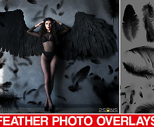 Black feather Overlays, Feather photo overlays