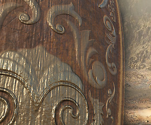 Paladin Shield