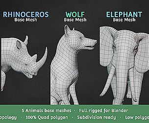 Base Meshes Animal Starter Kit 1 + Rig