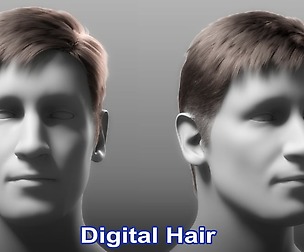 Realistic Male 3D Hair Asset