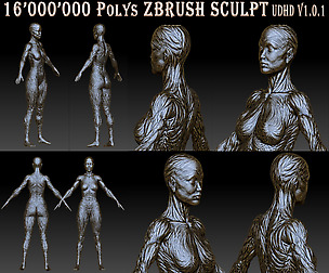 3GB ZBRUSH SCULPT Artistic Muscle Fibers