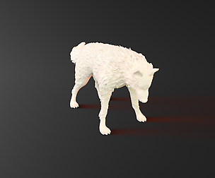 Le Loup