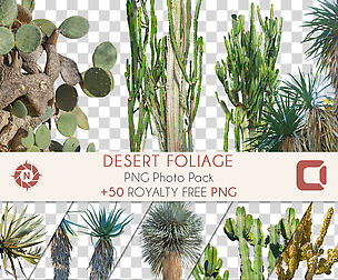 Desert Foliage - PNG Photo Pack