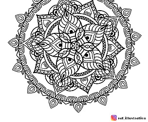 11 Mandala Vector Image
