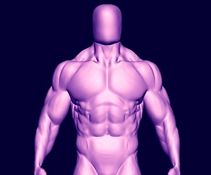 basemesh