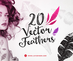 20 Vector Feathers
