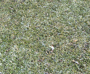Snow terrain PBR pack 5 textures