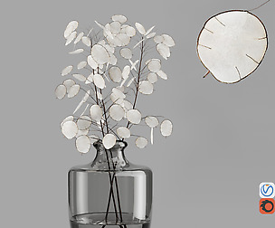 H24 Dark gray tinted glass vase with Lunaria