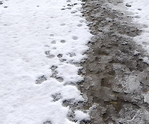 Snow terrain PBR pack 7 textures