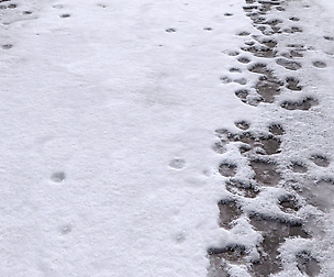 Snow terrain PBR pack 8 Textures