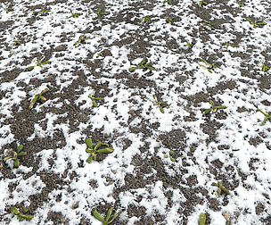 Snow terrain PBR pack 10 Texture