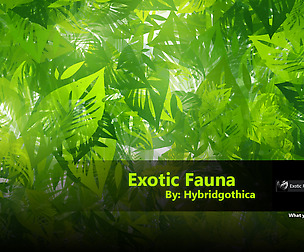 Exotic Fauna Brush.