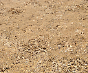 Sand terrain PBR pack 4 textures