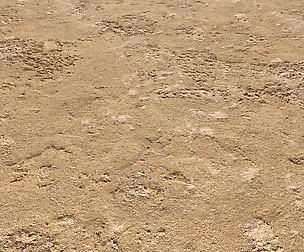 Sand terrain PBR pack 6 Textures