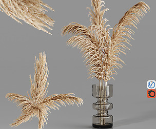H25 geometric glass vase And Dry Pampas