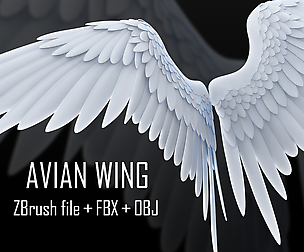 ZBrush Avian Wing + FBX + OBJ
