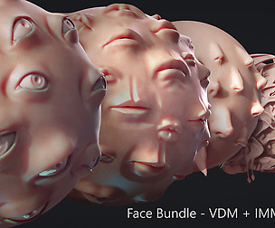 Zbrush - Face IMM + VDM Bundle