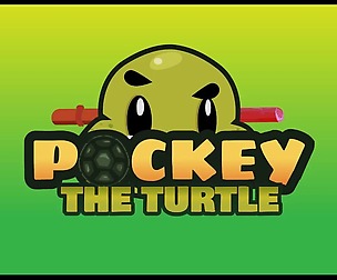 Pockey The Turtle 2D Game Character Sprites